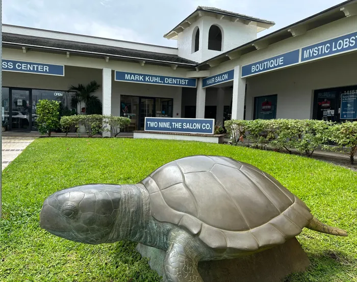 Office treatment area
